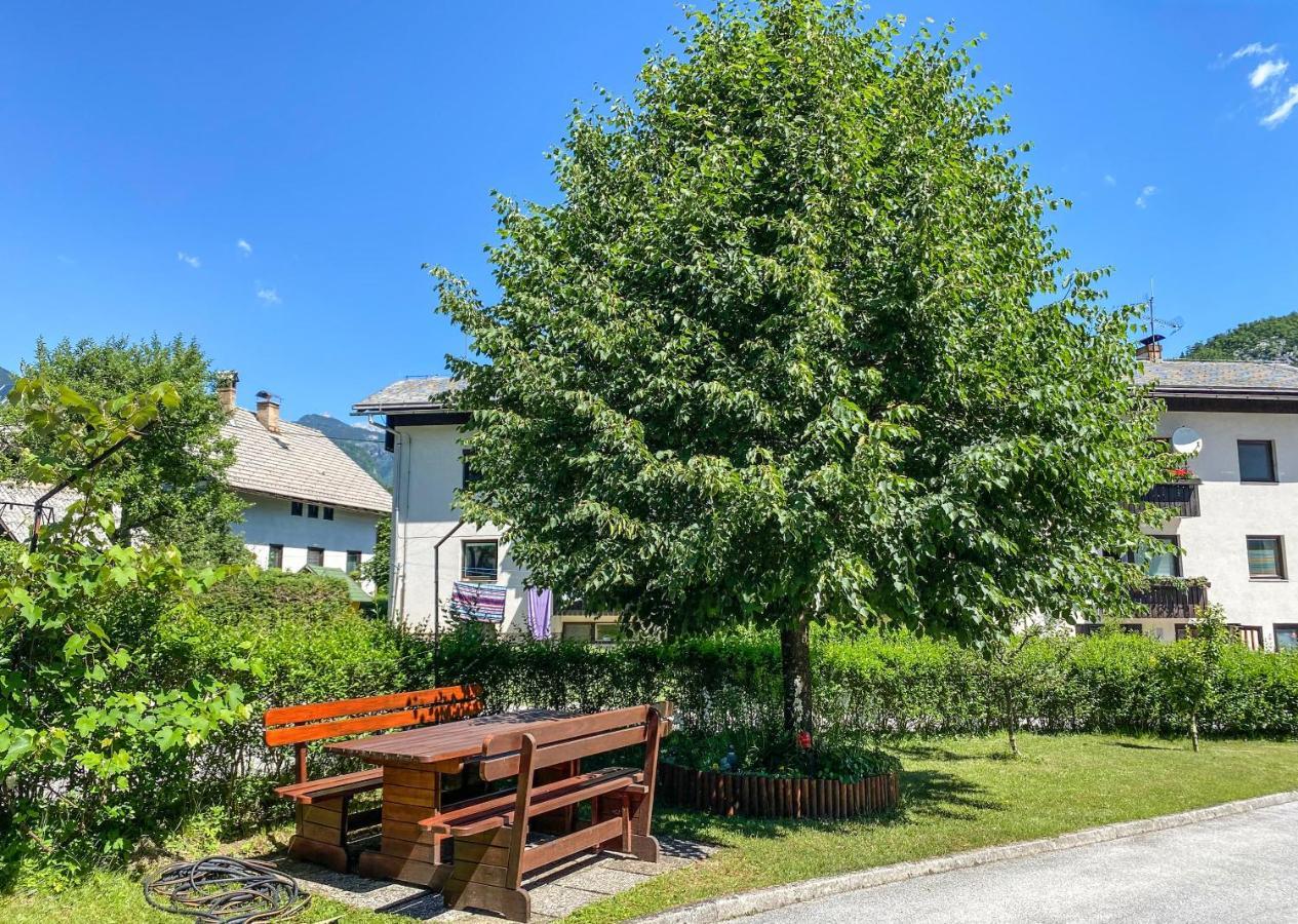 Apartment Ticar Bohinji-tó Kültér fotó